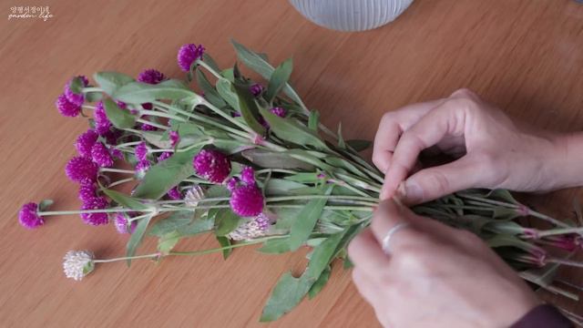 SUB 가을 정원   첫서리내린날  달리아구근캐기  10년된 목조주택 창호공사 4K