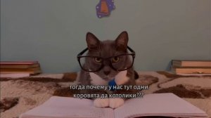 котинет урок бябялогии