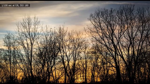 Nikon D3400 - Field Test and Review смотреть онлайн