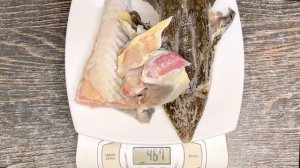 ?? Как разделать и закоптить ОСЕТРА на кухне в обычной кастрюле