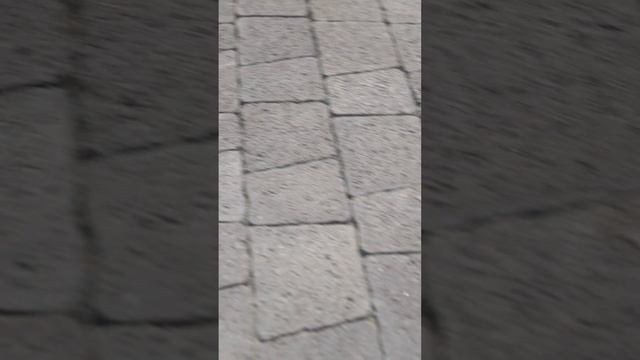 Ландшафтный дизайн участка 15 соток: гостевой дом в Тюмени VillageClub72 #shorts смотреть онлайн