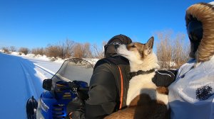 Снегоход Arctic Cat T660 Turbo