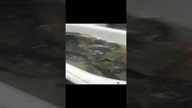 2022-11-14 смотреть онлайн