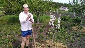 трава с огорода, куда девать!?