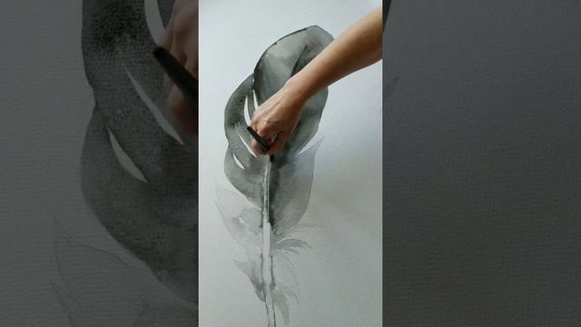 Рисунок пера совы. Акварель. смотреть онлайн