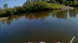 Ловля окуня на малой реке