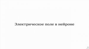 3.5 Параметры нервной системы. Электрическое поле в нейроне