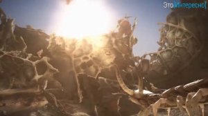 Происхождение жизни на земле биология