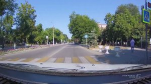 Белка и кот/Squirrel and cat/Funny moment