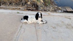 Раскаты пос. Вышка Астраханская область