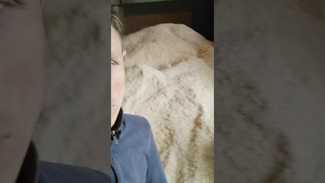 Арболит своими руками смотреть онлайн