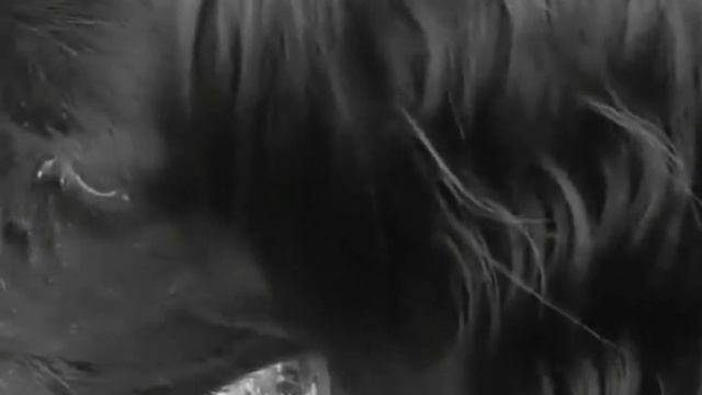 Qualcuno con cui correre смотреть онлайн