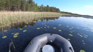 Ловля щуки на кружки