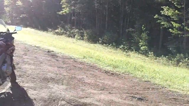 At the river with my Honda CBF1000 смотреть онлайн