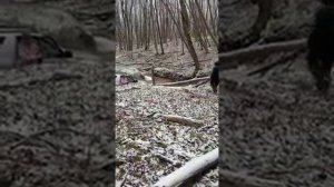 Suzuki Grand Vitara 3D