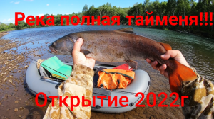 ПЕРВЫЙ СПЛАВ 2022!!!/В ЭТОЙ РЕКЕ ТАЙМЕНЯ БОЛЬШЕ ЧЕМ МАЛЬКА!!!/РЫБАЛКА НА СПИННИНГ!!!