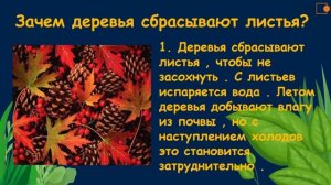 Жизнь растений осенью. Окружающий нас мир