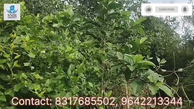 AD-339: Beautiful 2Acres Agricultural Land for Sale @ Srikrishnapatnam Road, Rajahmundry смотреть онлайн