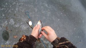 Рыбалка на рыболовные косынки и хапугу.