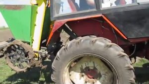 Протравитель Престиж применение