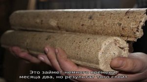 Как применять опилки для удобрения моркови?
