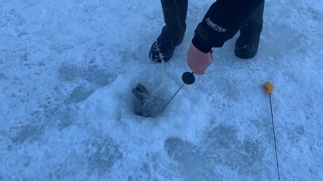 Рыбалка в Красногорске.BigCarp.Ловля форели.Рыбалка на платнике.Беседки,отдых,рыбалка,досуг.