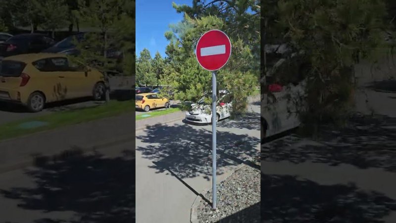 3 июня 2024 г.
