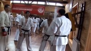 ОБМАННЫЕ КОМБИНАЦИИ В КИОКУШИНКАЙ КАРАТЭ.  2 ЧАСТЬ