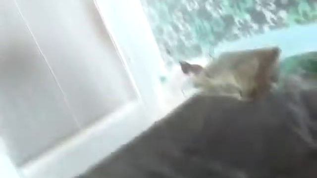 Вызов духов вызов чёрного мальчика