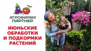 ИЮНЬСКИЕ ОБРАБОТКИ И ПОДКОРМКИ РАСТЕНИЙ