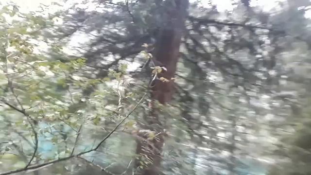 Алматы-Көлсай.Табиғаты сұлу жер смотреть онлайн