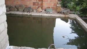 Рыбалка в бассейне...
