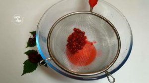 Красная смородина рецепты +на зиму. Вкусное желе из красной смородины.