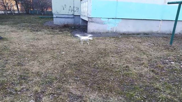Ремонт после падения DJI Phantom advansed смотреть онлайн