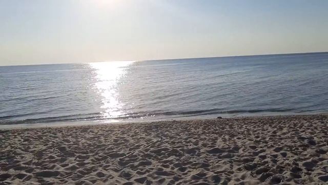 Куршская коса / посёлок Морское ?? ⛱ смотреть онлайн