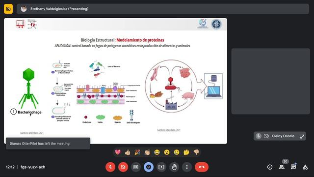 Mujeres en Bioinformática: reduciendo la brecha de género - Est. M. Sc. Stefhany Valdeiglesias смотреть онлайн