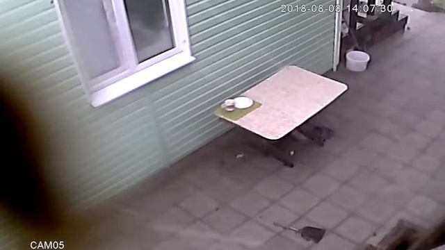 Дача 05 20180808 14 05 00 14 10 00R@236c92 смотреть онлайн