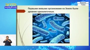 7-класс | Биология | Доказательства эволюции животного мира