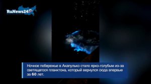 Светящийся планктон вернулся на побережье Акапулько
