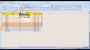 Excel 2007 - Formatting and Sorting Data