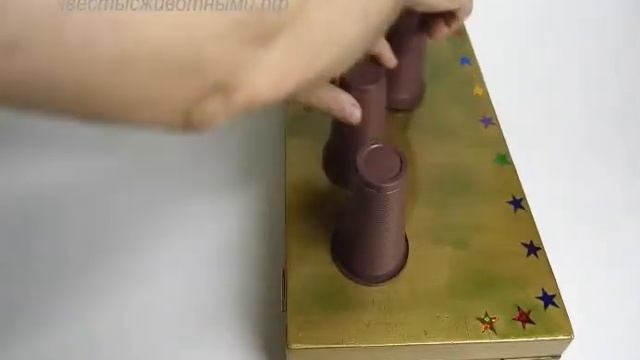 Дрессированные животные на праздник, аренда филина, www.квестысживотными.рф смотреть онлайн