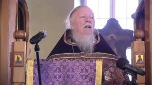 Проповедь на неделю 4-ю Великого поста (30 марта 2014 года). Дмитрий Смирнов