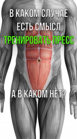 Есть смысл тренировать пресс или нет?