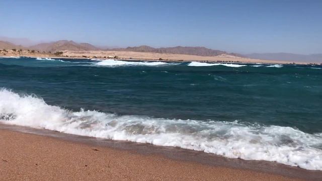 Шарм Эль Шейх лучший пляж ! Barcelo Tiran Sharm 2021.Египет. смотреть онлайн