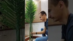 Как собрать искусственную Пальму Хамедорею