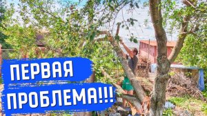 9-СЕРИЯ. КУПИЛИ СОВЕТСКУЮ ДАЧУ!!! ПЕРВАЯ ПРОБЛЕМА. ОБНОВИЛИ БЕСЕДКУ.