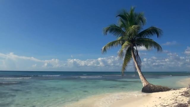 Звуки моря / 3 часа Видео / Тропический пляж с голубым небом / белым песком и пальмой