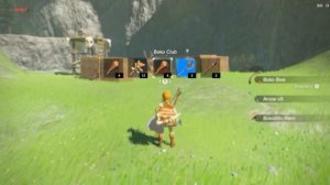 Breath of The Wild, New Game, Cemu 1.8.0b