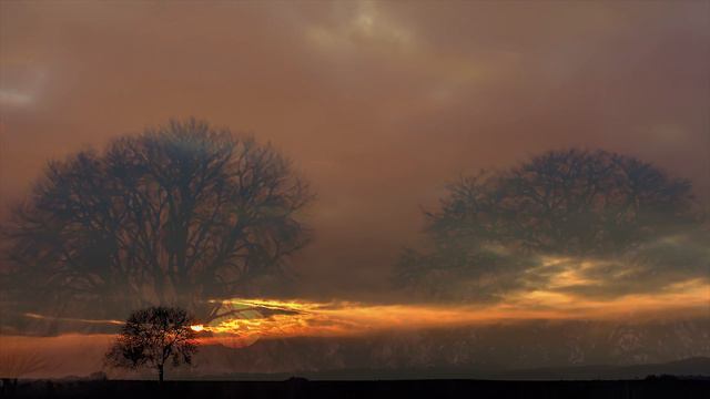 K&K Impressions in 4K feat. Mozart's Violin Concerto No. 5 "Turkish": I. Allegro aperto смотреть онлайн