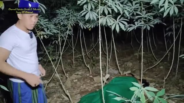 Ganjet !!! Pasangan Remaja ini Gancet_Tidak Bisa Di Lepaskan//Ustad Nasihin Pun Kewalahan !!!! смотреть онлайн